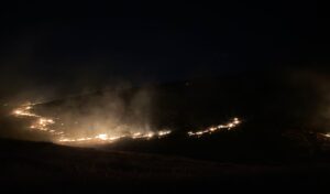 Ormanlık alanda yangına müdahale ediliyor