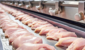 CHP’den bakanlığın tavuk ihracatı kısıtlamasına tepki