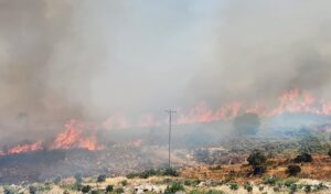 İzmir’de üçüncü yangın… Bu kez Selçuk