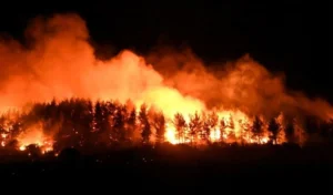 Orman yangınlarında son durum, bakandan açıklama