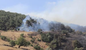 İzmir’de yangın devam ediyor… 7 ev hasar gördü