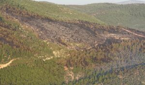 Bodrum yangını 18 saat sonra kontrol altına alındı