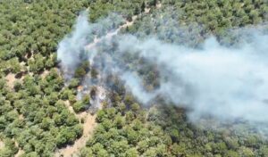 Çanakkale Bayramiç’teki orman yangını kontrol altına alındı