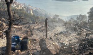 İzmir’deki yangında bir bağ evi kül oldu