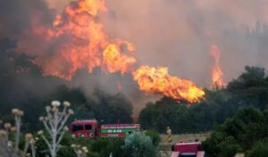 İzmir’de orman yangını büyüyor… 70 ev boşaltıldı
