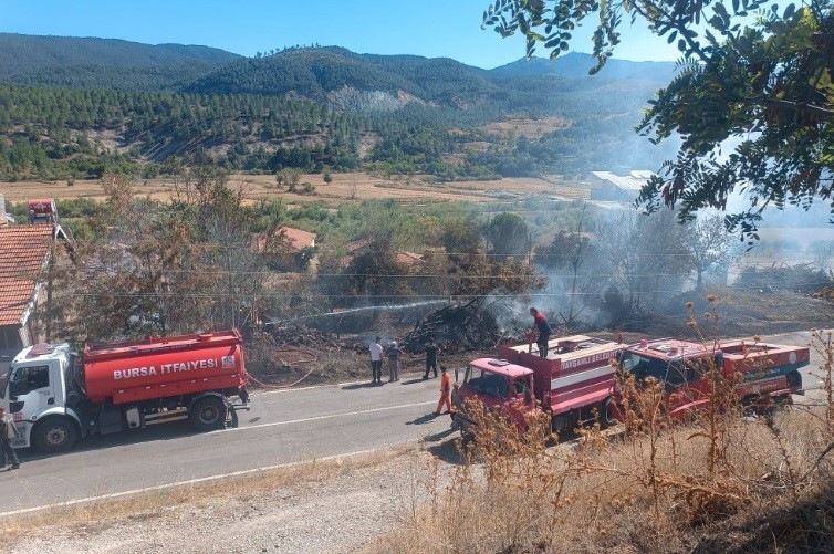 Manisa ve Kütahya'da yangınlar