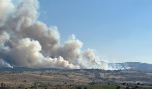 Manisa ve Uşak’ta orman yangını