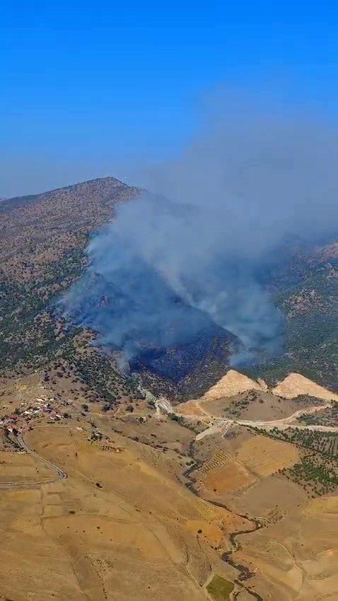 Manisa ve Uşak'ta orman yangını