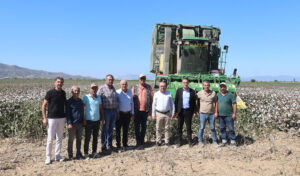 CHP’li Karakoz tarladan seslendi… Üreticinin mağduriyetini giderin