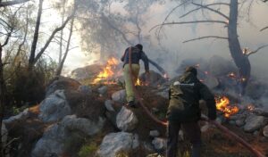 Antalya’da orman yangını!