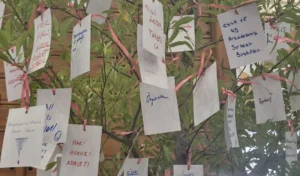 Üniversiteli gençlerin ‘Umut’ ağacında umutsuzluk…
